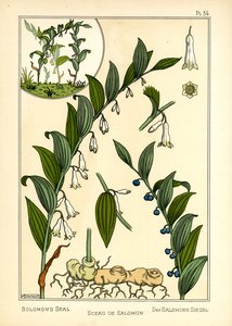 Il sigillo di Salomone