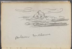 Sketchbook, The Dells, N° 127, pagina 184: "Salici di Salem".