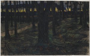 Veduta del bosco al tramonto da Maurits van der Valk