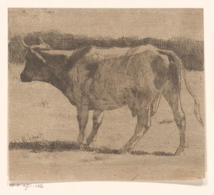 Mucca in un prato da Maurits van der Valk
