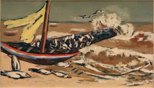 Mare marrone con gabbiani