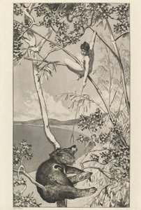Orso e Elfo: pl.1