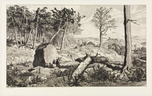 Simplicius nella solitudine della foresta (Intermezzi, Opus IV, tavola 10) da Max Klinger