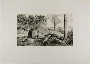 Simplicius nella solitudine della foresta, tavola dieci da Intermezzos