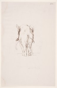 Weg der Befleckung - Elefante e cane annusante da Max Klinger