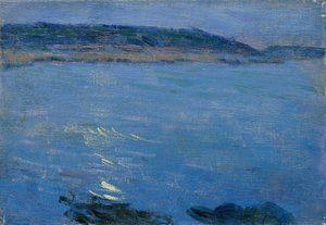 Paesaggio marino blu al chiaro di luna