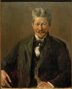 Ritratto dello storico della letteratura danese Georg Brandes
