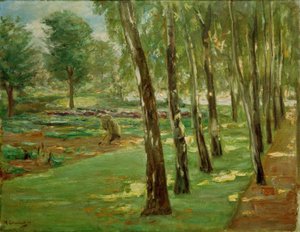 Il viale delle betulle nel giardino del Wannsee – Vista sul campo di cavoli da Max Liebermann