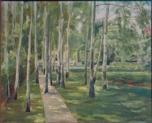 Il viale delle betulle nel giardino di Wannsee verso ovest