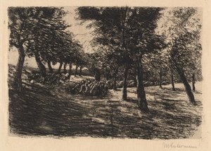 Gregge di pecore sotto gli alberi da Max Liebermann