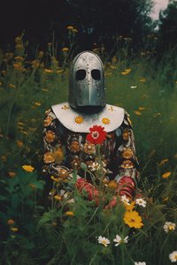 Il cavaliere in fiore