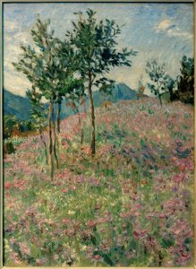 Paesaggio montano con campo di facelia