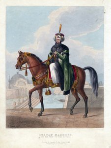 Ritratto di Mahmud II, Sultano dell