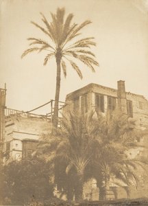 Datteri e Casa del Quartiere Francese, al Cairo