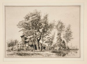 Alberi di acacia da Maxime Lalanne