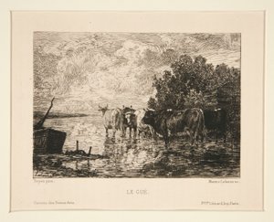Il guado