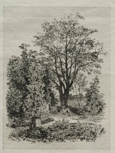 Il mio giardino da Maxime Lalanne