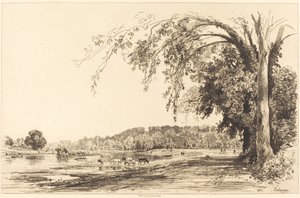 Richmond da Maxime Lalanne