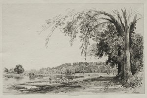 Richmond da Maxime Lalanne