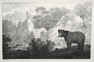 Paesaggio Montuoso con Orso in Primo Piano da Maximilian Josef Wagenbauer
