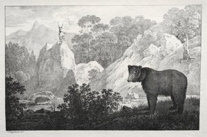 Paesaggio Montuoso con Orso in Primo Piano da Maximilian Josef Wagenbauer