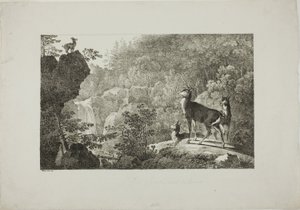 Il cervo e il camoscio da Maximilian Josef Wagenbauer