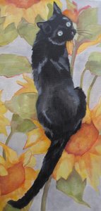 Il gatto nero tra i girasoli da Maxine Shore