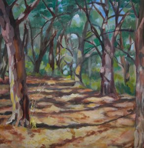 Sentiero nella foresta screziata