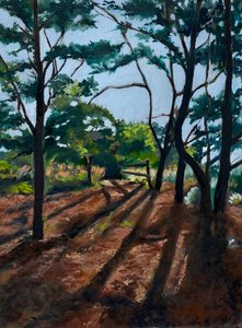 Sentiero nel bosco - Lunghe ombre da Maxine Shore