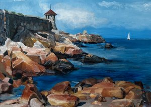 Paesaggio marino della costa rocciosa