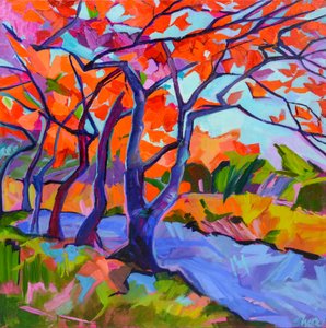 Alberi dai colori vivaci in autunno