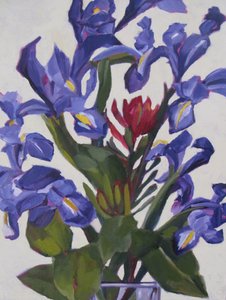 Bouquet di iris dai colori vivaci da Maxine Shore