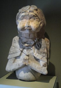 Immagine sconosciuta