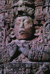 Stele nella Grand Plaza (dettaglio) da Mayan Mayan
