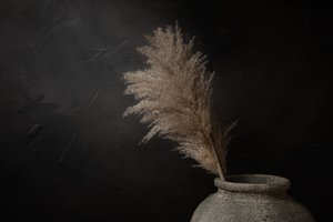 Pampa scura e rustica da Mayra Pama