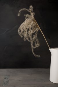 Brocca bianca con erba della pampa da Mayra Pama