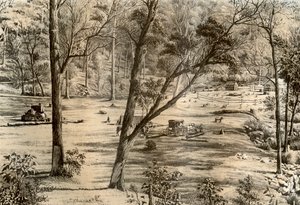 Capanna del selezionatore libero, Australia, 1879 da McFarlane and Erskine