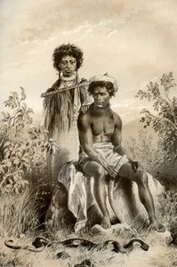 Maori e serpente tappeto, Nuova Zelanda, 1879 da McFarlane and Erskine