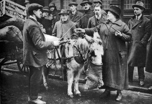 Una donna con la frusta, Covent Garden, Londra, 1926-1927