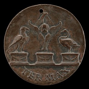 Cherubino, Cigno e Aquila (retro) da Mea