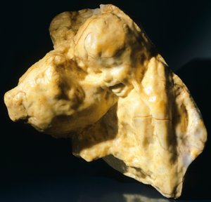 Maternità, l