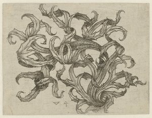 Ornamento di cardo da Meester W met de Sleutel