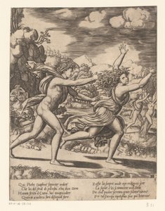 Apollo insegue Dafne (storia di Apollo e Dafne)