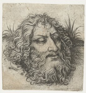 La testa di Giovanni Battista o di Golia