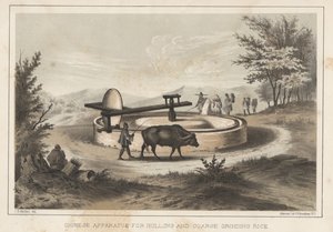 Apparato cinese per sbucciare e macinare grossolanamente il riso, 1855 da Meffert