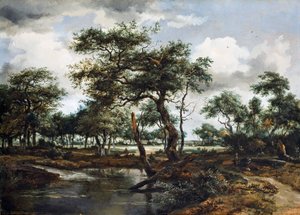 Uno stagno nella foresta, 1668
