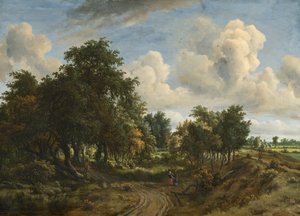 Paesaggio boscoso, 1663