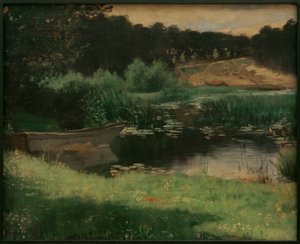 Lago con canneto nel Brandeburgo