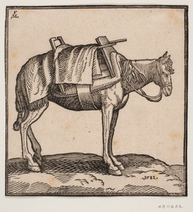 Un cavallo da trasporto sellato