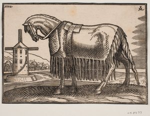 Cavallo coperto da scaberak, profilo verso sinistra da Melchior Lorck